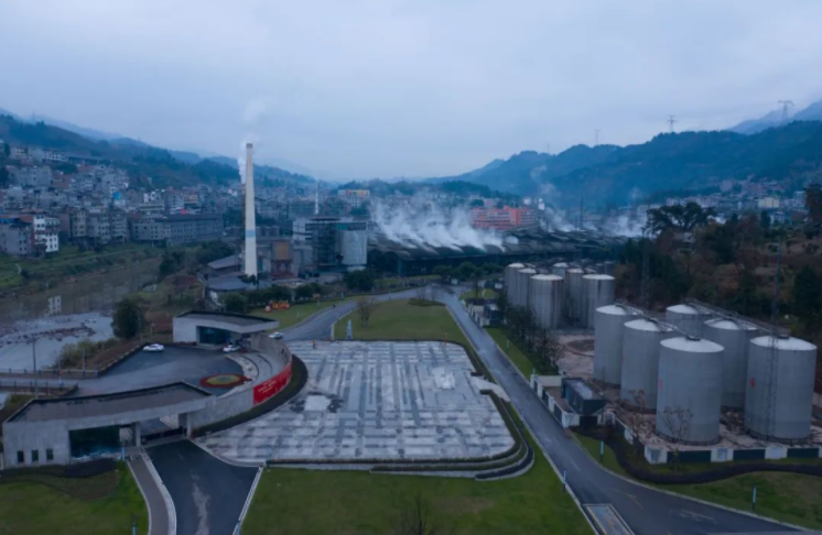 1667296217202877.png 36.png