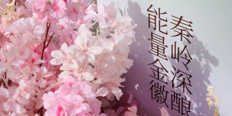 从流量到留量，金徽酒樱花节IP打造酒旅融合新样本