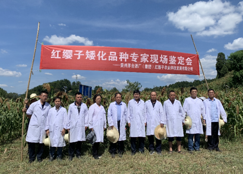 1754387677876452.png image.png